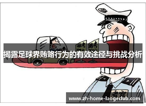 揭露足球界贿赂行为的有效途径与挑战分析