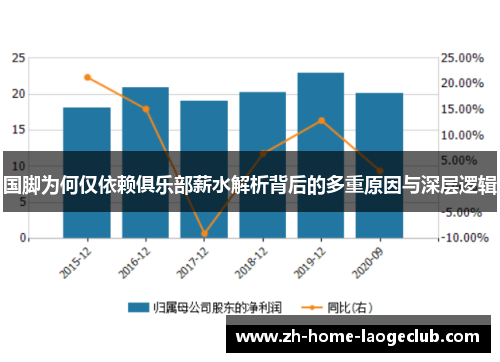 国脚为何仅依赖俱乐部薪水解析背后的多重原因与深层逻辑