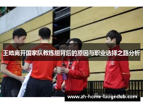 王皓离开国家队教练组背后的原因与职业选择之路分析