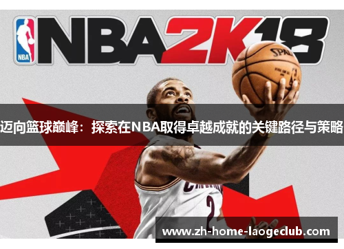迈向篮球巅峰：探索在NBA取得卓越成就的关键路径与策略