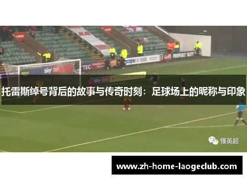 托雷斯绰号背后的故事与传奇时刻：足球场上的昵称与印象