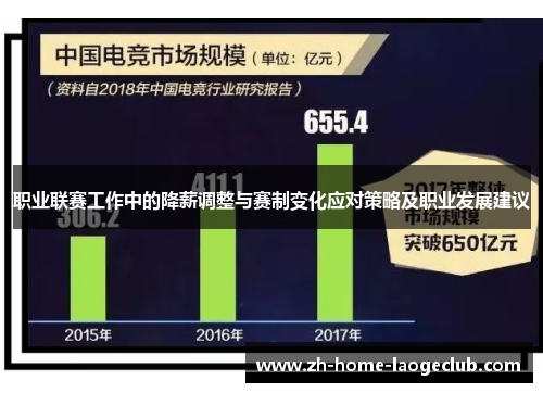 职业联赛工作中的降薪调整与赛制变化应对策略及职业发展建议